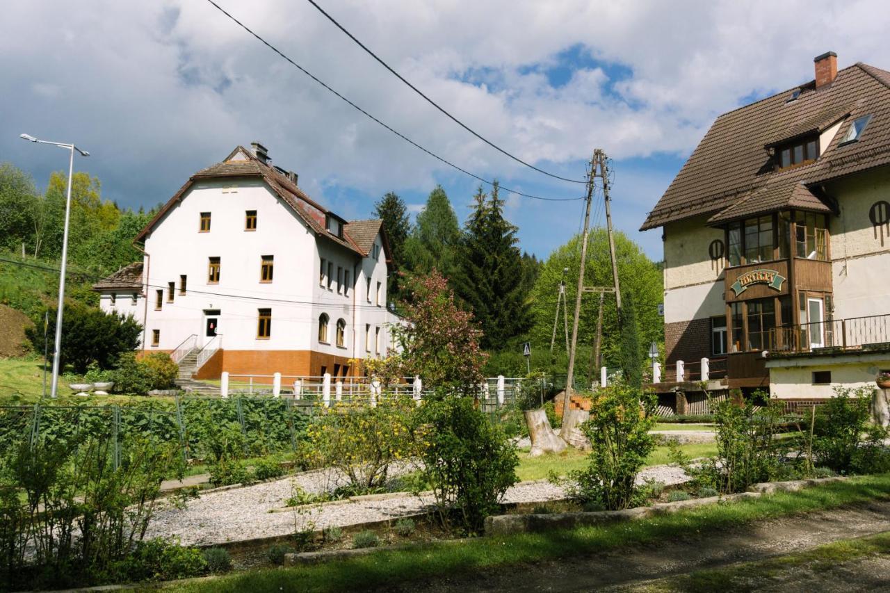 Hôtel Osrodek Wypoczynkowy Maria W Lewinie Klodzkim - Maria I à Lewin Klodzki Extérieur photo